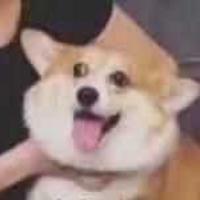 网恋被骗五十块零一毛头像