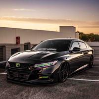 番禺张德帅头像