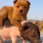 李晓杰的个人资料头像