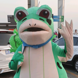 蛙呱呱流浪记头像