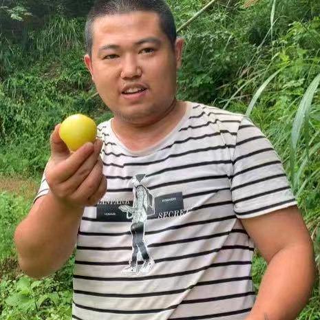 农人彩华头像