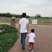人情的风头像