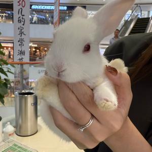 小张是好人头像