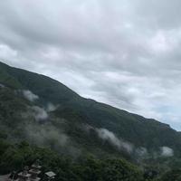 65465今晚打老虎头像