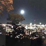 美丽心情5440头像