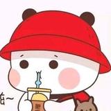 人生，若只初见头像