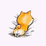 siber的个人资料头像