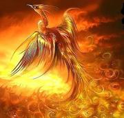 用户0000的个人资料头像