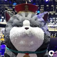 肚子肉肉送给你头像