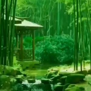 南塘烟蓑头像