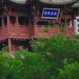 用户381179796686头像