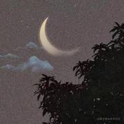 和离的个人资料头像