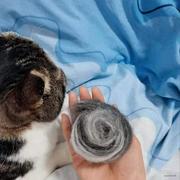 惊讶猫12138的个人资料头像