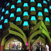 小新鱼乐圈头像