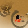 活泼柑桔M头像
