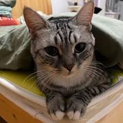 Mercy585的个人资料头像