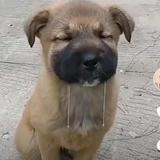 用户217886780811头像