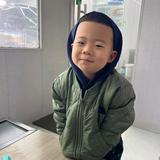机智的憨憨牛头像