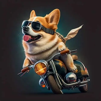 星星车评社头像