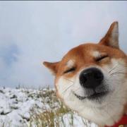 Aite416的个人资料头像