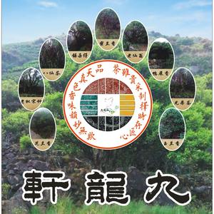 九龙轩何俊龙头像