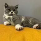 背上行囊的个人资料头像