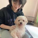 早点睡明天见508头像