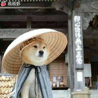 冷眼旁观i37头像