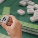 Rrafa不想说话的个人资料头像