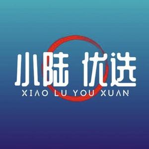 小陆优选好wu头像