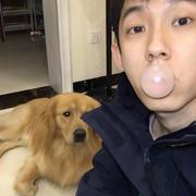 自衍体科技的个人资料头像