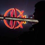 盖在汽车上的建筑头像