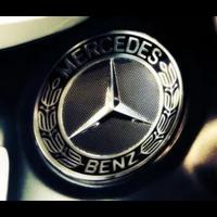 执着的叶子sC7头像