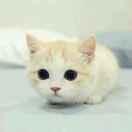 不冷不热的个人资料头像