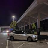 槑槑槑槑槑槑槑槑呆呆头像