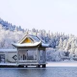 可爱海登0D0头像