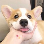2Years的个人资料头像
