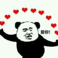 小李的大大头像