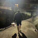 东莞小韦二手车头像