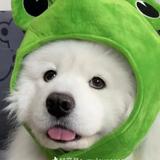 智慧Y先生头像