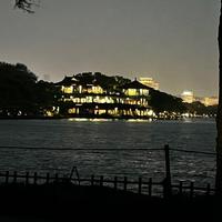 鲨鱼哥哥ovo头像