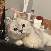 依了个旧的个人资料头像