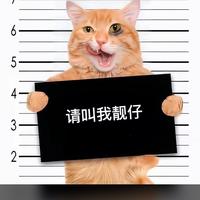 江月的小豹子头像