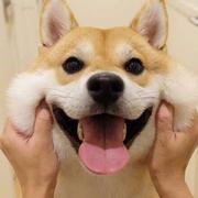 用户6941748731201的个人资料头像