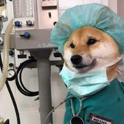 你说我有在听哦的个人资料头像