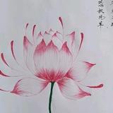 爱不言弃头像