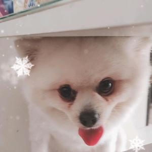 细腻樱桃6N3头像