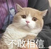 红烧粽子的个人资料头像