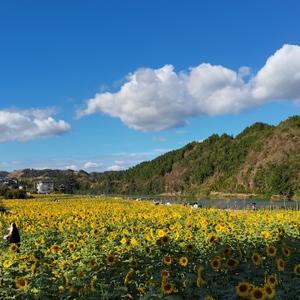 基础决定未来头像