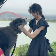 Smile791的个人资料头像